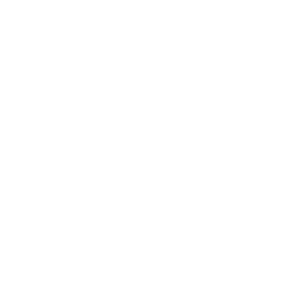 Huhn Icon