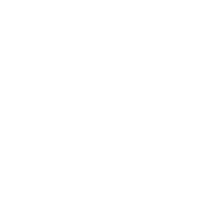 Pferd Icon